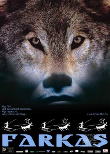 Волк (2007)
