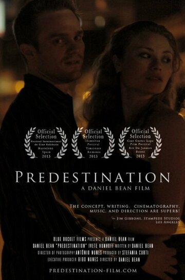 Predestination (2013)