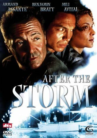 После шторма (2001)