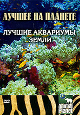 Animal Planet: Лучшие аквариумы земли (2007)